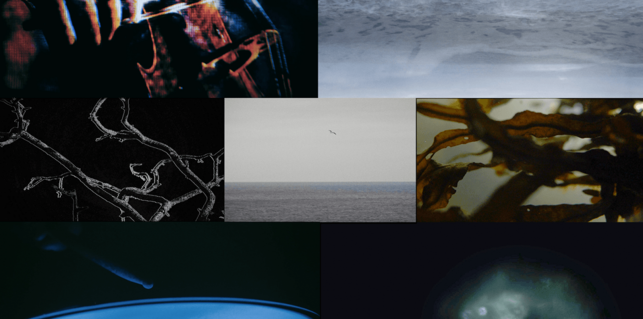 collage image depicting the sea, cello and snare drum