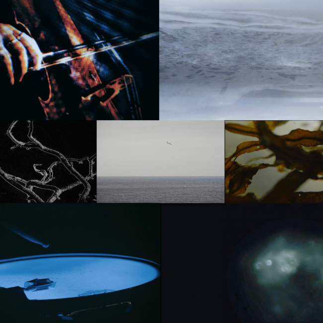 collage image depicting the sea, cello and snare drum